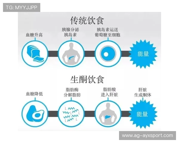 职业选手的“饮食管理”：为什么碳水化合物是状态的大敌？